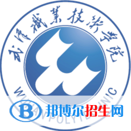 武漢職業(yè)技術(shù)學(xué)院藝術(shù)類專業(yè)有哪些？