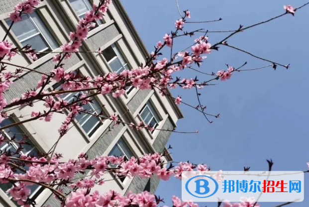 南京寧海中學(xué)2023年報(bào)名條件、招生要求、招生對(duì)象 