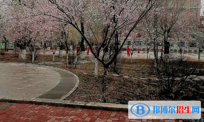長春第六中學(xué)2023年招生計劃 