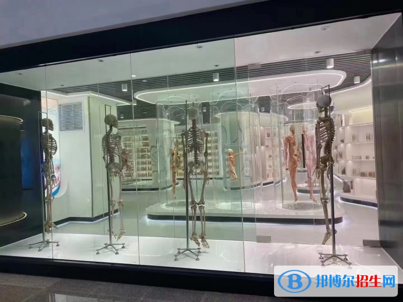 云南2023年衛(wèi)校專(zhuān)業(yè)都有什么