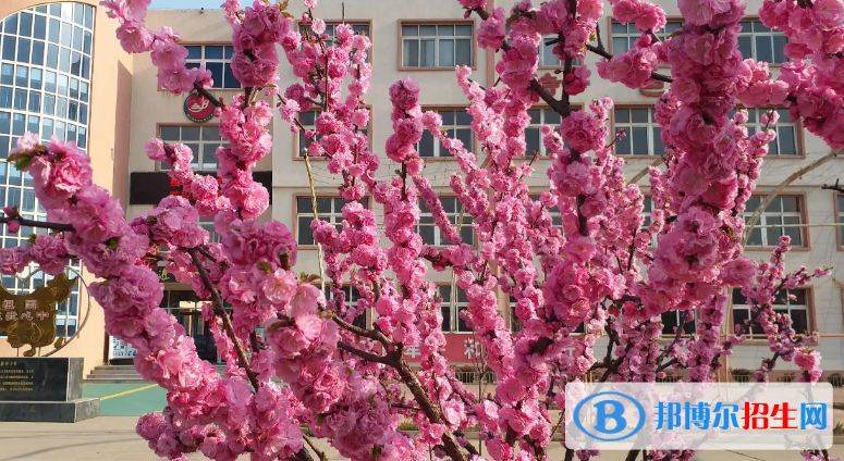 唐山市豐潤區(qū)第二中學(xué)2023年怎么樣、好不好