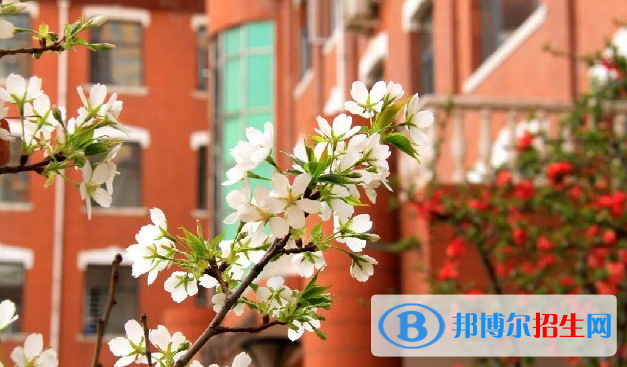 石家莊外國(guó)語(yǔ)學(xué)校2023年學(xué)費(fèi)、收費(fèi)多少