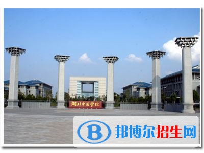 2022 湖北中醫(yī)藥大學(xué)全國排名（湖北中醫(yī)藥大學(xué)歷年全國排名）-2023年參考