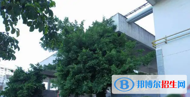 2023年汕頭好的高中學(xué)校有哪些，汕頭重點(diǎn)高中排行榜
