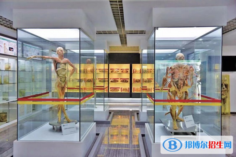 云南2023年女生上衛(wèi)校學(xué)什么好