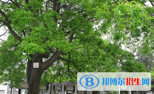 蚌埠重點(diǎn)高中學(xué)校有哪些（2022-2023）
