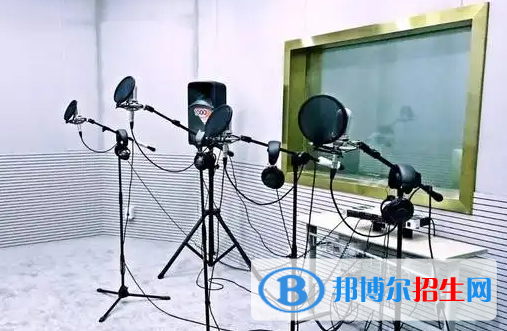 大學(xué)錄音技術(shù)與藝術(shù)專業(yè)可以從事哪些工作？