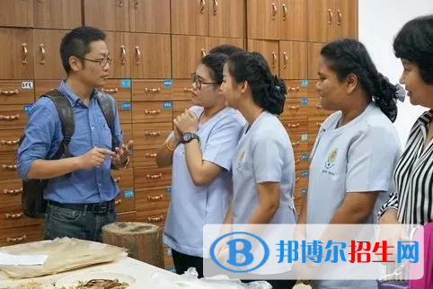 大學傣醫(yī)學專業(yè)可以從事哪些工作？