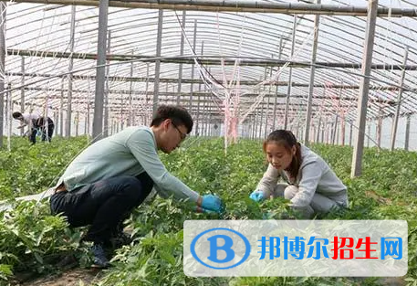 大學(xué)農(nóng)業(yè)工程專業(yè)可以從事哪些工作？