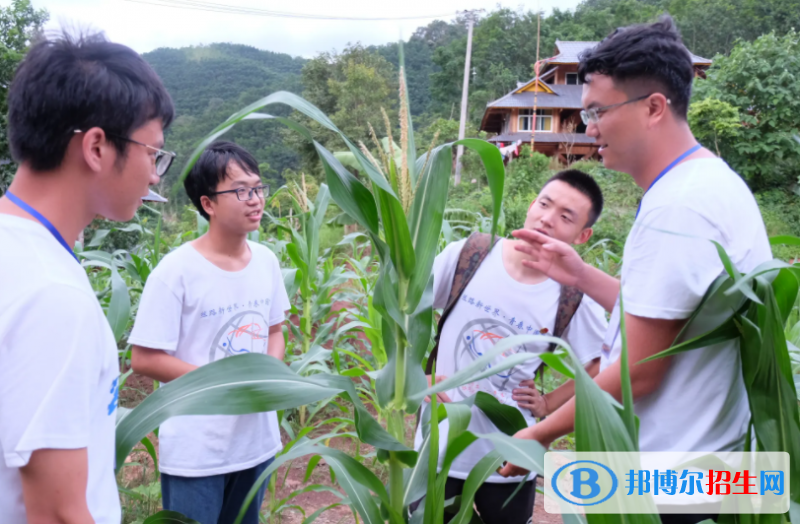 大學農(nóng)村區(qū)域發(fā)展專業(yè)可以從事哪些工作？