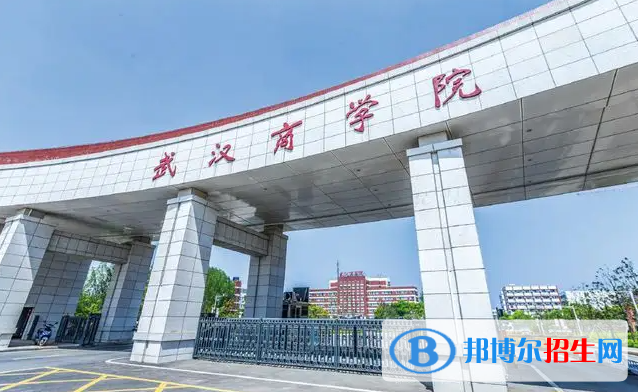 2023湖北物理類245分左右能上什么好大學（本省大學+外省大學）
