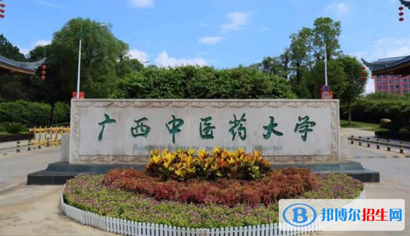 2023廣西理科425分左右能上什么好大學(xué)（本省大學(xué)+外省大學(xué)）