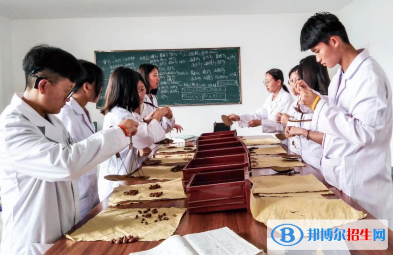 云南2023年讀中專學校需要什么條件