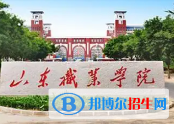 山東職業(yè)學(xué)院是大專(zhuān)還是中專(zhuān)(山東職業(yè)學(xué)院)