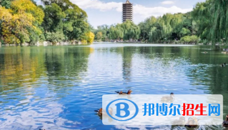 中國(guó)大學(xué)阿拉伯語(yǔ)專(zhuān)業(yè)排名（2022研究型）