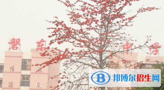 揭陽(yáng)市揭東區(qū)磐東中學(xué)、白塔中學(xué)2022錄取分?jǐn)?shù)線（2023參考）