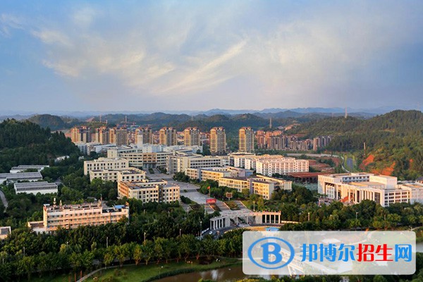 四川職業(yè)技術(shù)學院單招2023年招生簡章