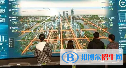 智慧城市管理技術(shù)專業(yè)(國(guó)標(biāo)版)怎么樣?