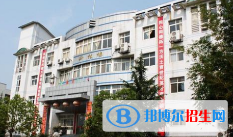 武漢市新洲區(qū)四中、城關(guān)中學(xué)2022錄取分?jǐn)?shù)線（2023參考）