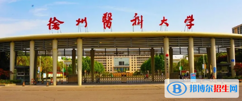 山東高考540分左右可以報考什么學校（2023報考參考）