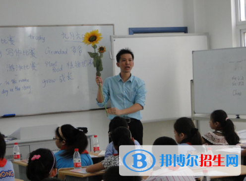 小學(xué)數(shù)學(xué)教育專業(yè)好嗎?(小學(xué)數(shù)學(xué)教育專業(yè))