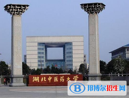 湖北醫(yī)藥類大學有哪些？(附名單)