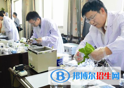 食品智能加工技術專業(yè)好嗎?(食品智能加工技術專業(yè))