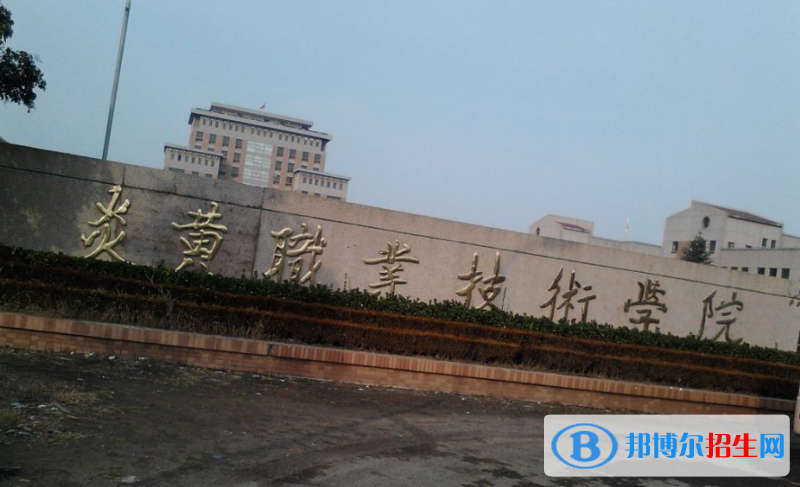 浙江高考295分左右可以報考什么學校（2023報考參考）