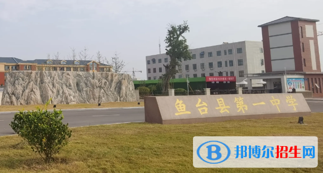 魚(yú)臺(tái)中考2022錄取分?jǐn)?shù)線