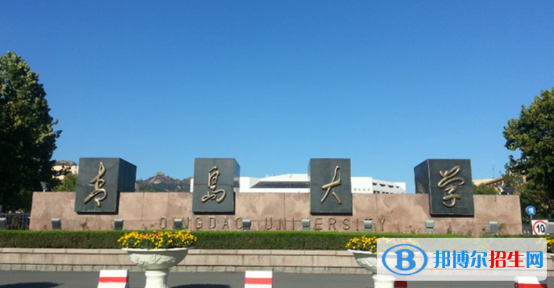 青島大學(xué)有哪些中外合作辦學(xué)專業(yè)？（附名單）