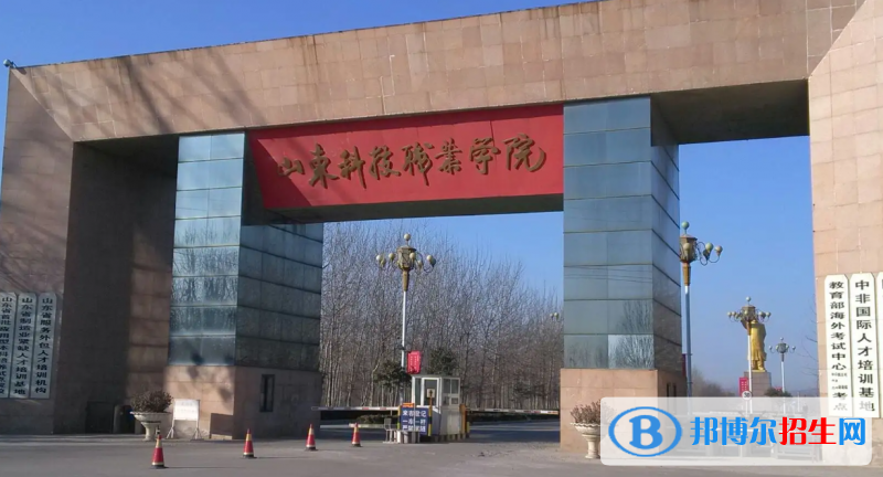 山東科技職業(yè)學院有哪些中外合作辦學專業(yè)？（附名單）