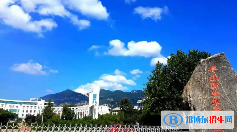 泰山職業(yè)技術(shù)學(xué)院有哪些中外合作辦學(xué)專業(yè)？（附名單）