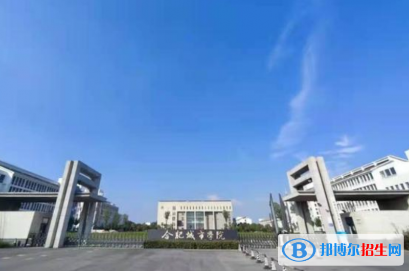 合肥城市學院是不是雙一流大學？