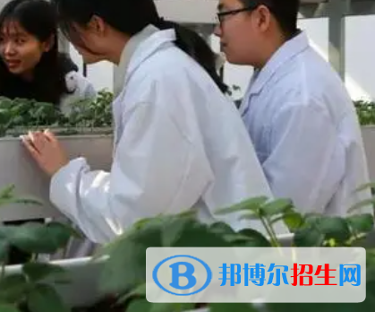 四川省金堂縣職業(yè)高級(jí)中學(xué)2023年有哪些專(zhuān)業(yè)