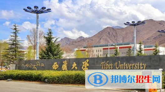 全國(guó)211大學(xué)在山東綜合類錄取分?jǐn)?shù)線和位次排名