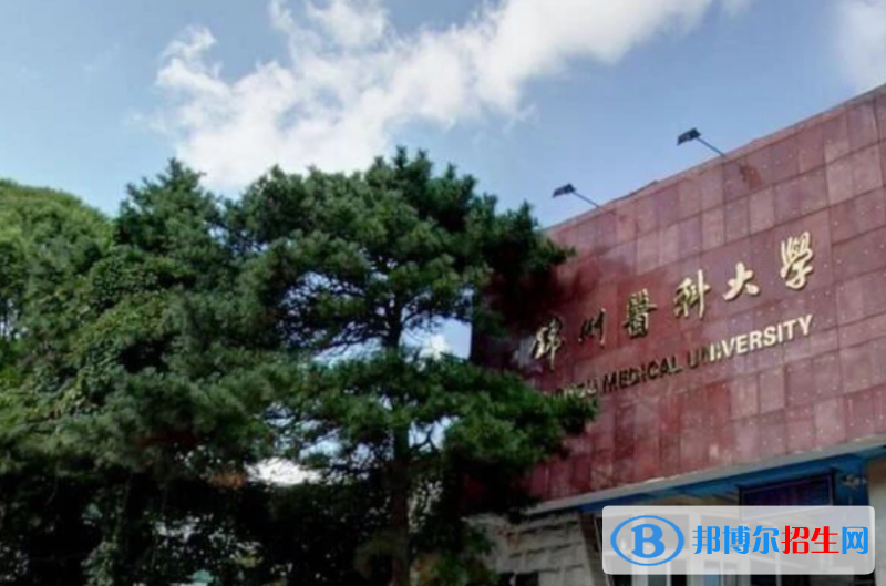 錦州醫(yī)科大學(xué)是幾本？是985和211嗎？