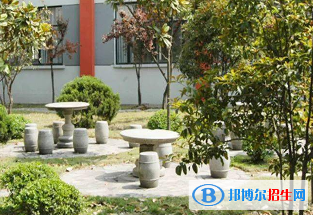 高考滿分作文：仰望星空與腳踏實地（3篇）