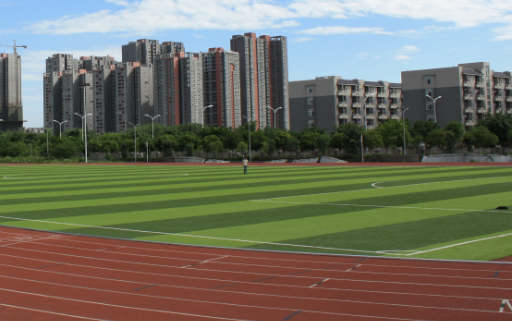 2023年四川交通運輸職業(yè)學校開設的專業(yè)一覽表