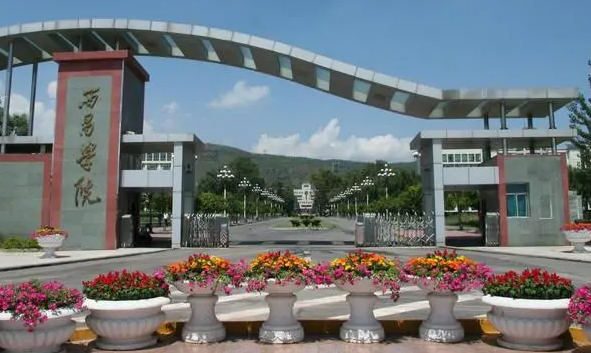武漢科技大學(xué)和西昌學(xué)院怎么選？哪個(gè)好？附全國(guó)排名和分?jǐn)?shù)線