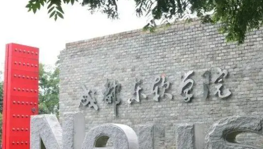 中央財經(jīng)大學(xué)和成都東軟學(xué)院怎么選？哪個好？附分?jǐn)?shù)線