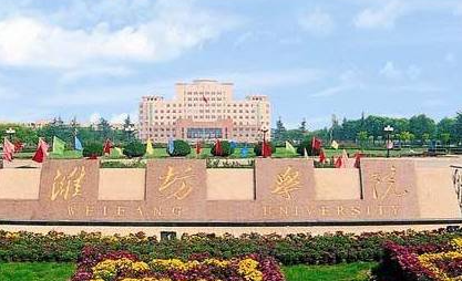 東北財(cái)經(jīng)大學(xué)和濰坊學(xué)院怎么選？哪個(gè)好？附全國排名和分?jǐn)?shù)線
