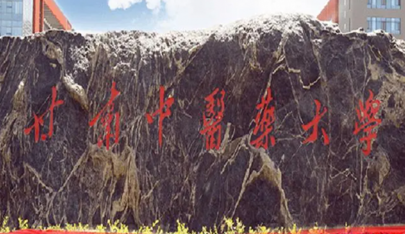 甘肅中醫(yī)藥大學(xué)什么專業(yè)好，甘肅中醫(yī)藥大學(xué)專業(yè)排名