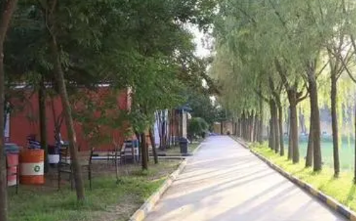 2023西安大中科技技工學(xué)校招生計劃 招生人數(shù)是多少(附要求、條件、對象)
