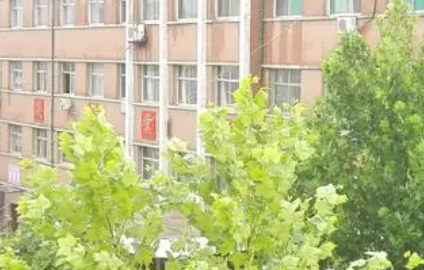 2023武城縣職業(yè)中等專業(yè)學(xué)校招生計(jì)劃 招生人數(shù)是多少(附要求、條件、對(duì)象)
