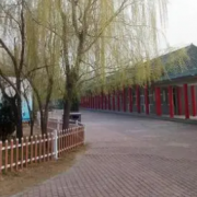 濱州愉悅職業(yè)技術學校