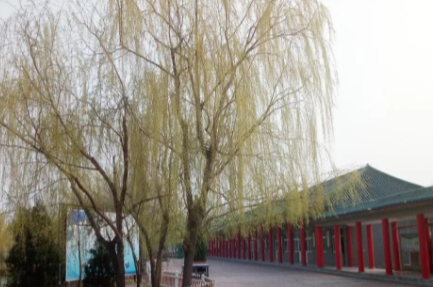 濱州愉悅職業(yè)技術學校怎么樣、好不好