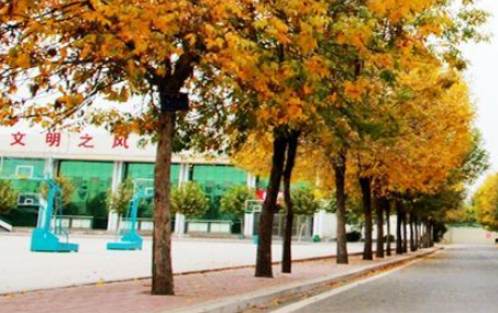 菏澤市定陶區(qū)職業(yè)中等專業(yè)學(xué)校地址，乘車路線