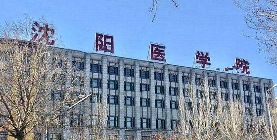 新疆助產(chǎn)專業(yè)大學排名及分數(shù)線一覽表