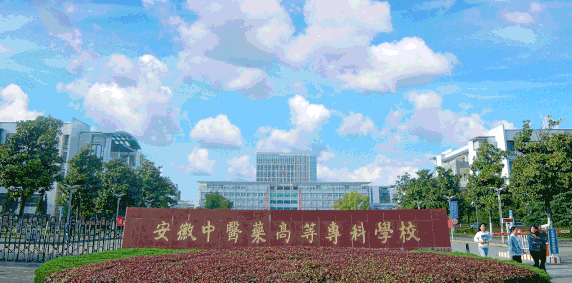 新疆醫(yī)學美容技術(shù)專業(yè)大學排名及分數(shù)線一覽表