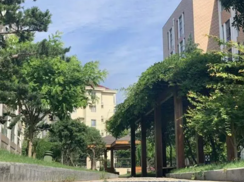 樂清國際外國語學(xué)校怎么樣、好不好
